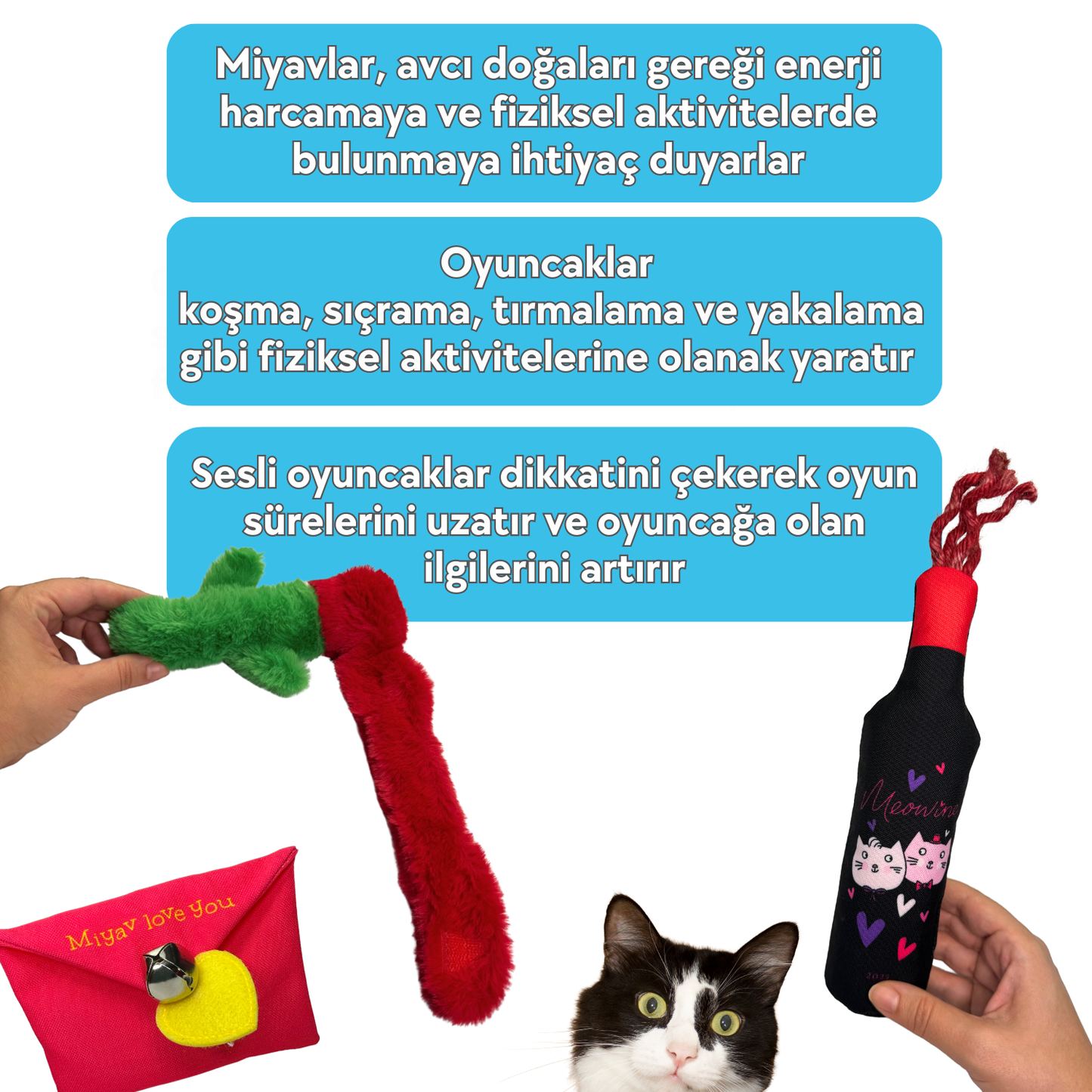 Miyav Love You Peluş Kedi Oyuncak Seti Hışırtılı Şarap, Mama Saklamalı Gül, Çıngıraklı Mektup