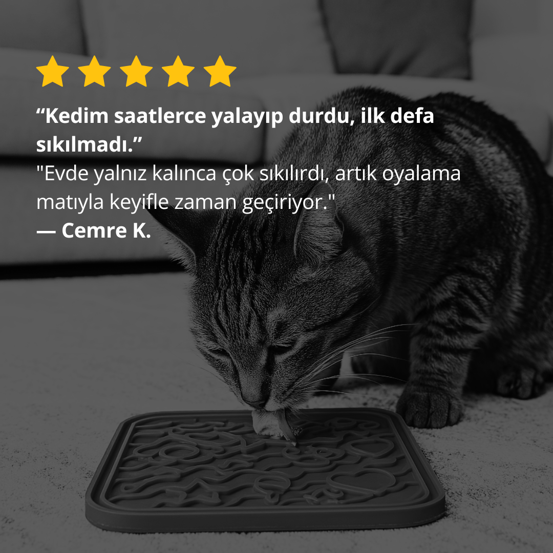 O'yalama Matı Köpek Ve Kedi İçin Yalama Matı Vakumlu Lickmat