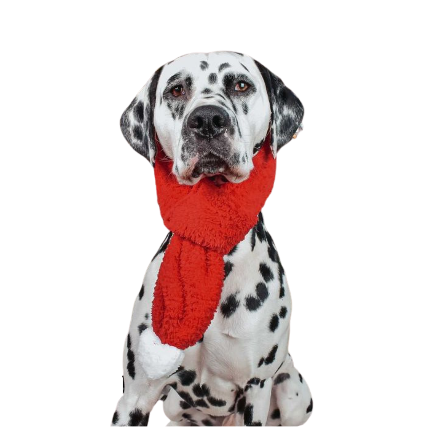 Kırmızı Renkli Köpek Atkısı S M L Beden Seçenekleri ile Yılbaşı Temalı Köpek Aksesuarı