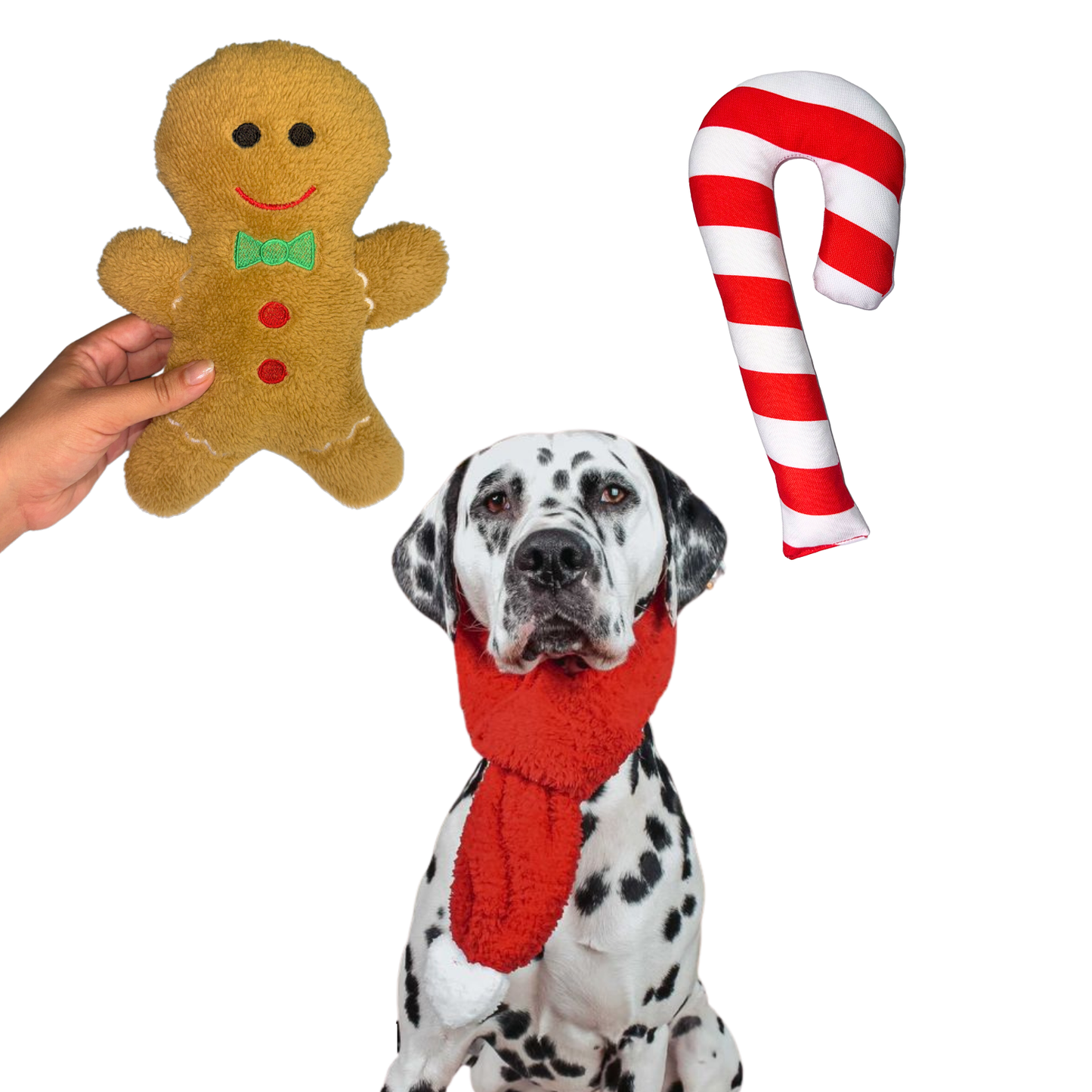 Havrika Yıllar Köpek Oyuncak Seti Köpek Atkısı S M L, Hışırtılı Peluş Kurabiye, Vikvikli Peluş Şeker