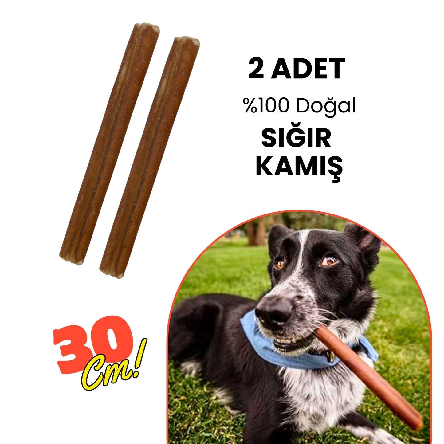 2 Adet Sihirli Çubuk Sığır Kamış Çiğneme Çubuğu Köpek Ödülü