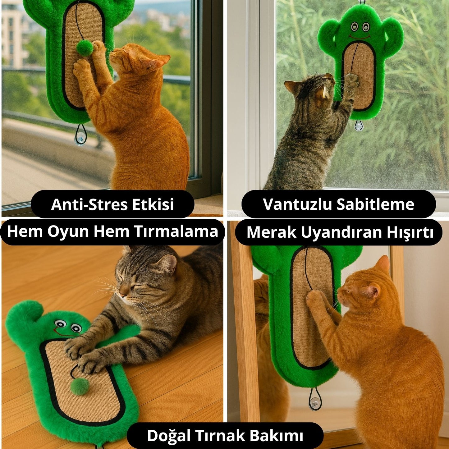 Miyav Meksika Temalı Kedi Oyuncak Seti | Hışırtılı Kaktüs Tırmalama, Çıngıraklı Taco ve Hışırtılı Avokado