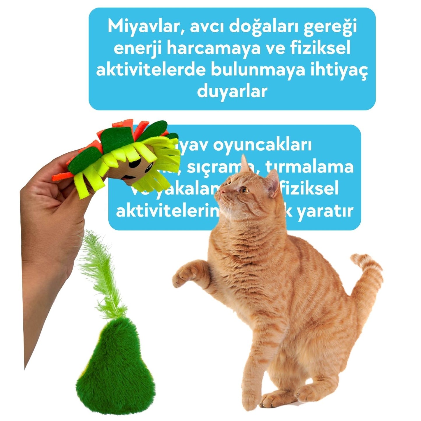 Miyav Meksika Temalı Kedi Oyuncak Seti | Hışırtılı Kaktüs Tırmalama, Çıngıraklı Taco ve Hışırtılı Avokado