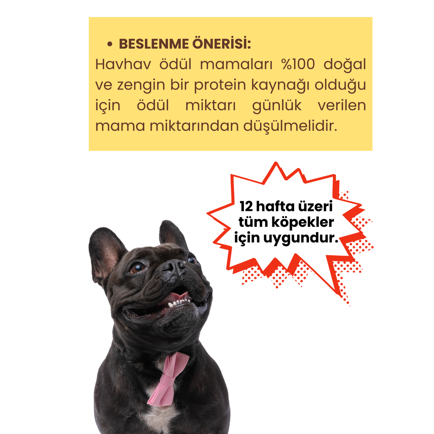 3 Adet Doğal İçerikli Köpek Ödül Maması Seti