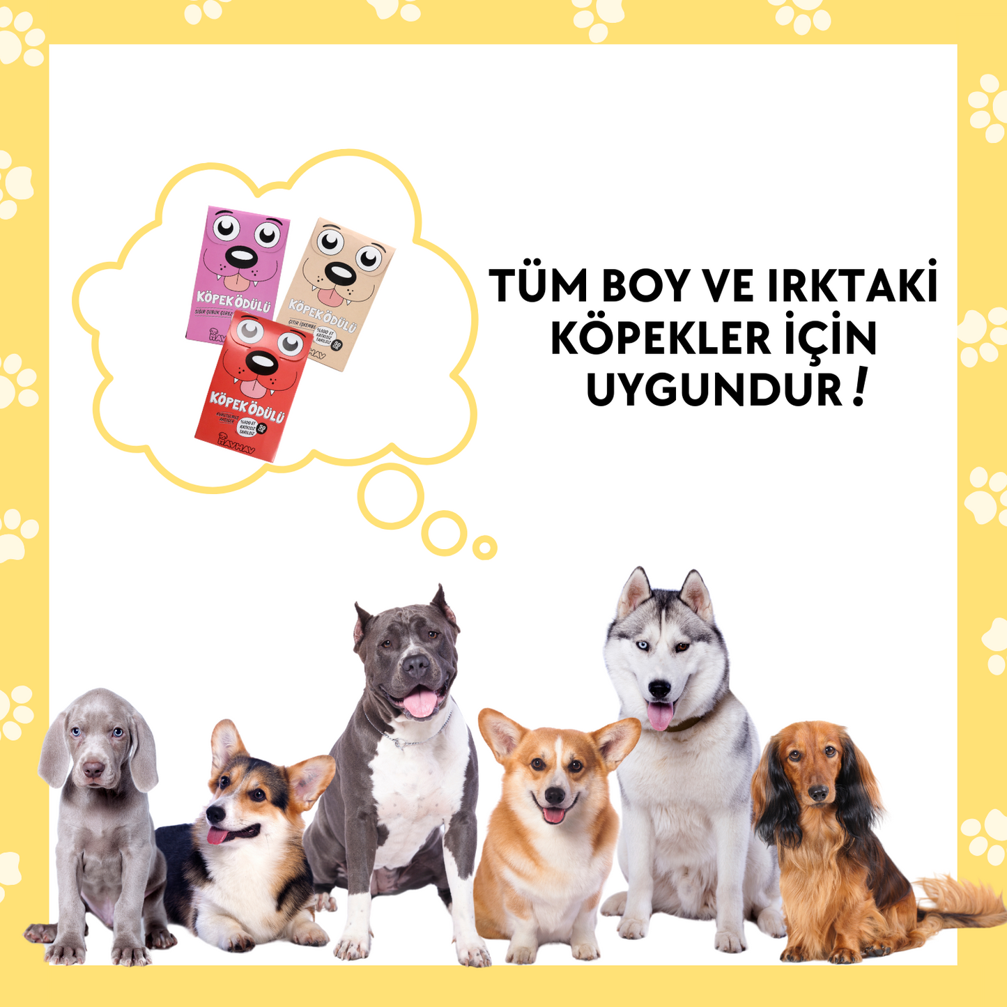 3 Adet Doğal İçerikli Köpek Ödül Maması Seti