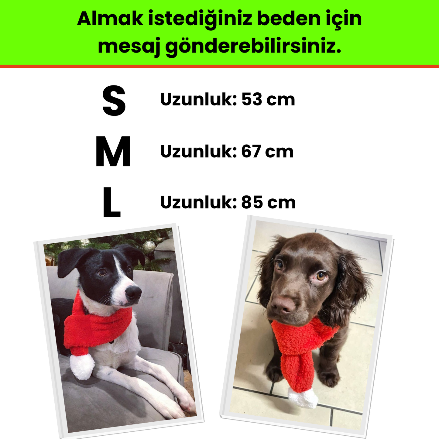 Havrika Yıllar Köpek Oyuncak Seti Köpek Atkısı S M L, Hışırtılı Peluş Kurabiye, Vikvikli Peluş Şeker