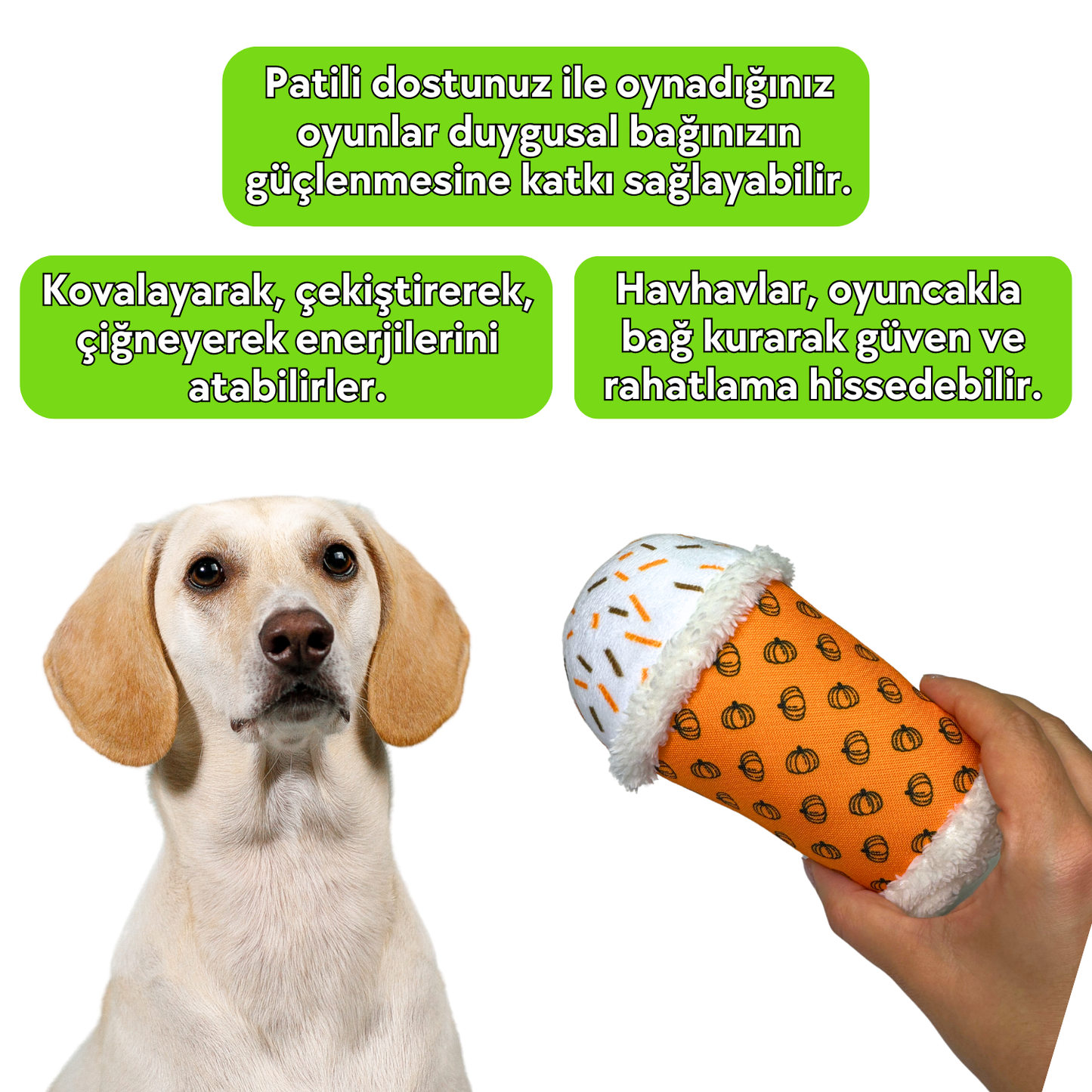 HavHavCafe 2'li Köpek Oyuncak Seti Pumpkin Havs Latte ve Peluş Kurabiye