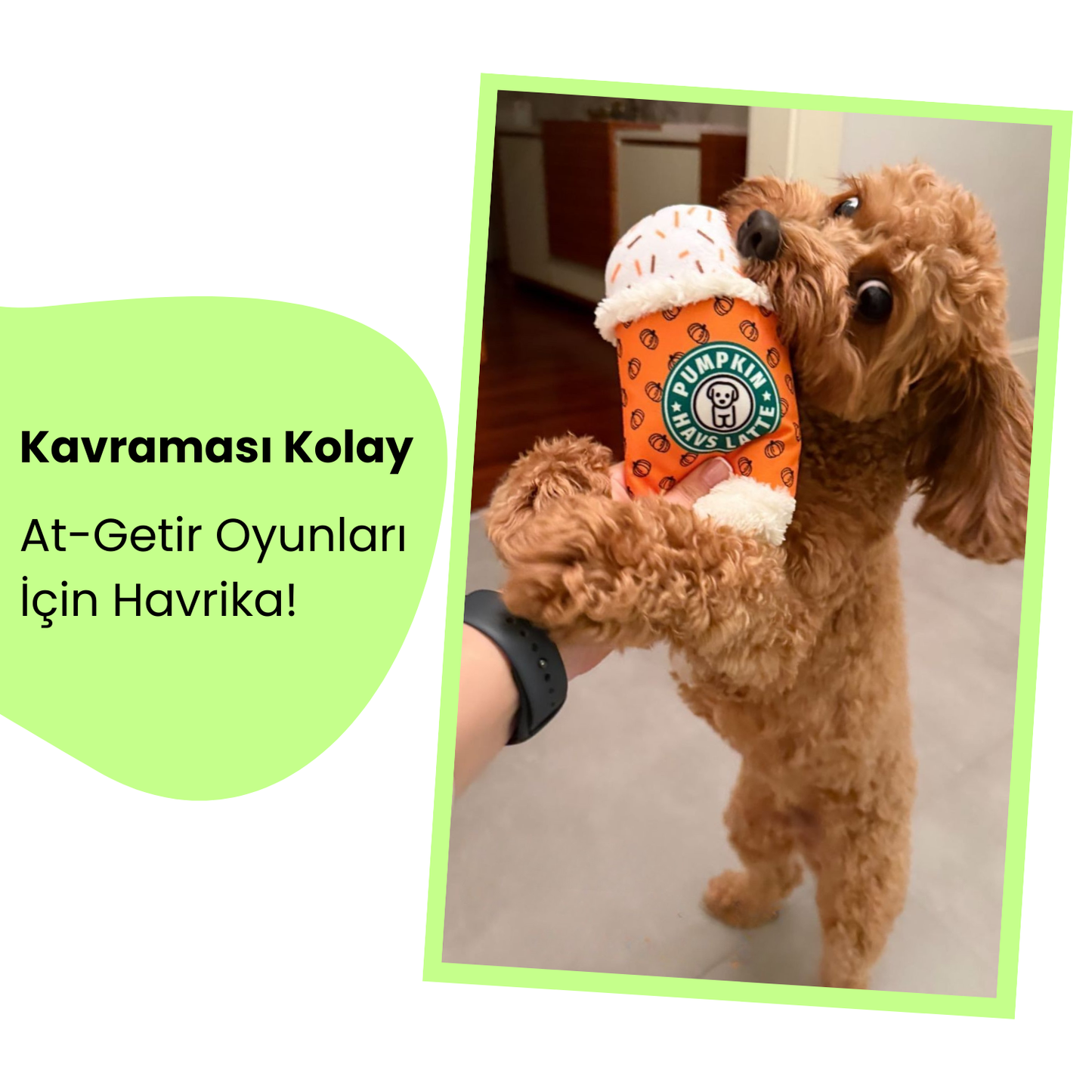 HavHavCafe 2'li Köpek Oyuncak Seti Pumpkin Havs Latte ve Peluş Kurabiye