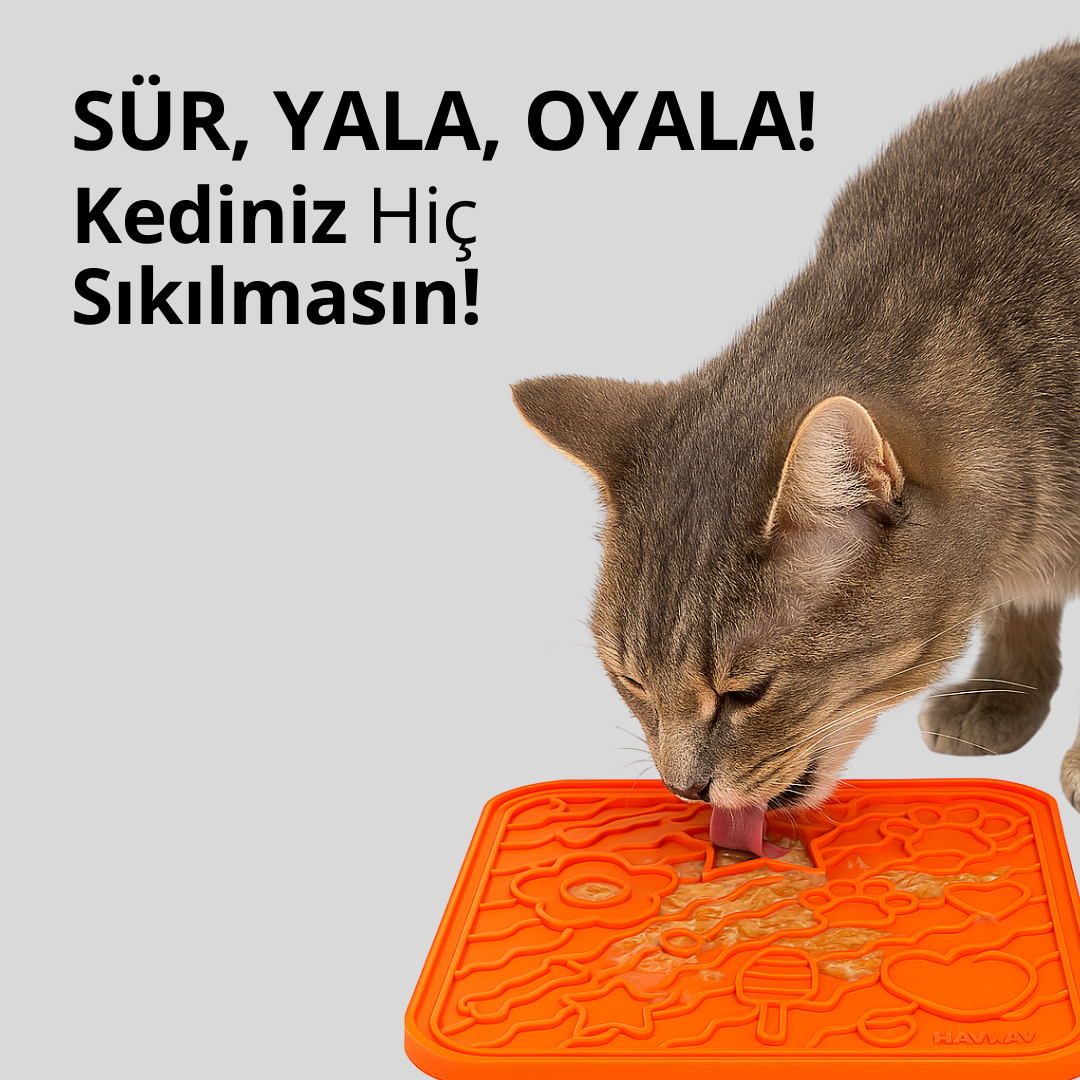 O'yalama Matı Köpek Ve Kedi İçin Yalama Matı Vakumlu Lickmat