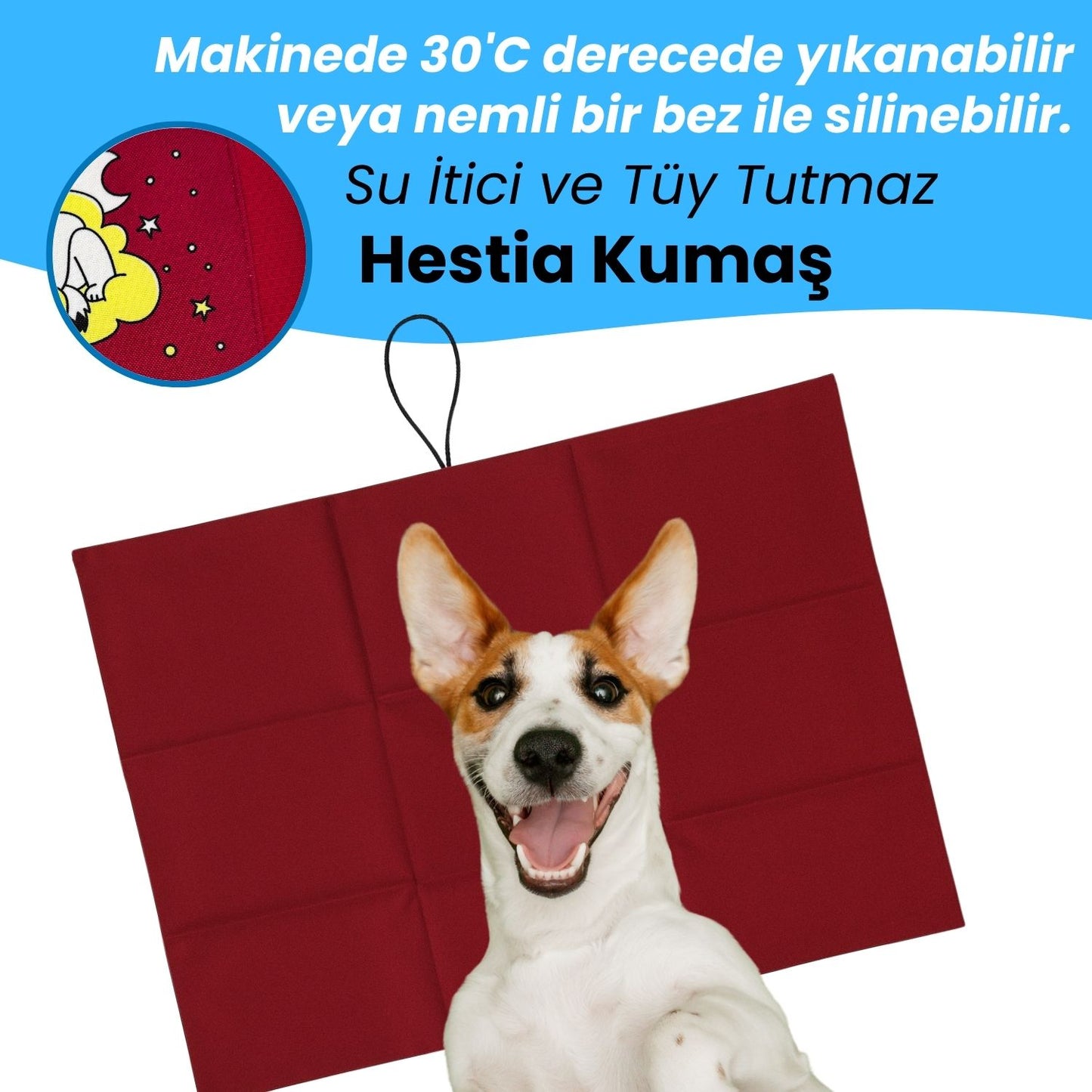 Katlanabilir Köpek Minderi – Büyük, Orta ve Küçük Irklar İçin | Bordo, Mavi, Yeşil Renk