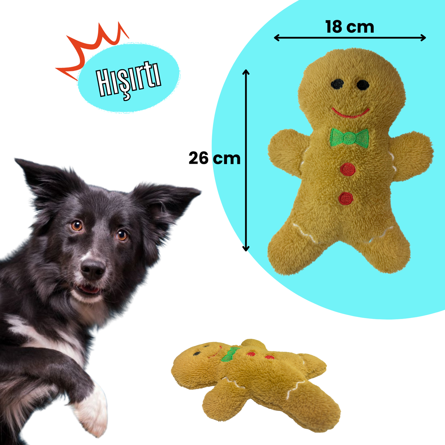 Havrika Yıllar Köpek Oyuncak Seti Köpek Atkısı S M L, Hışırtılı Peluş Kurabiye, Vikvikli Peluş Şeker