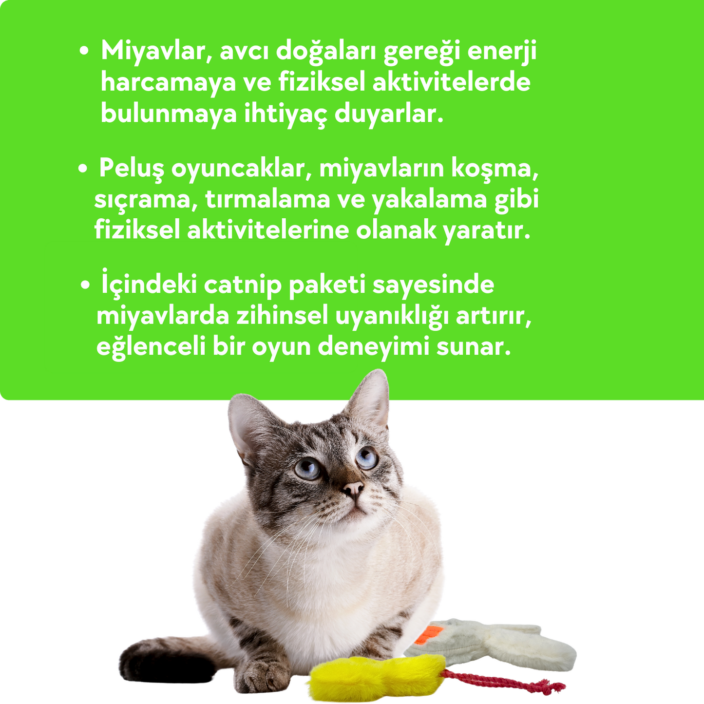 Sevimli Dostlar Kedi Oyuncak Seti Catnipli Peluş Civciv ve Sesli Peluş Tavşan
