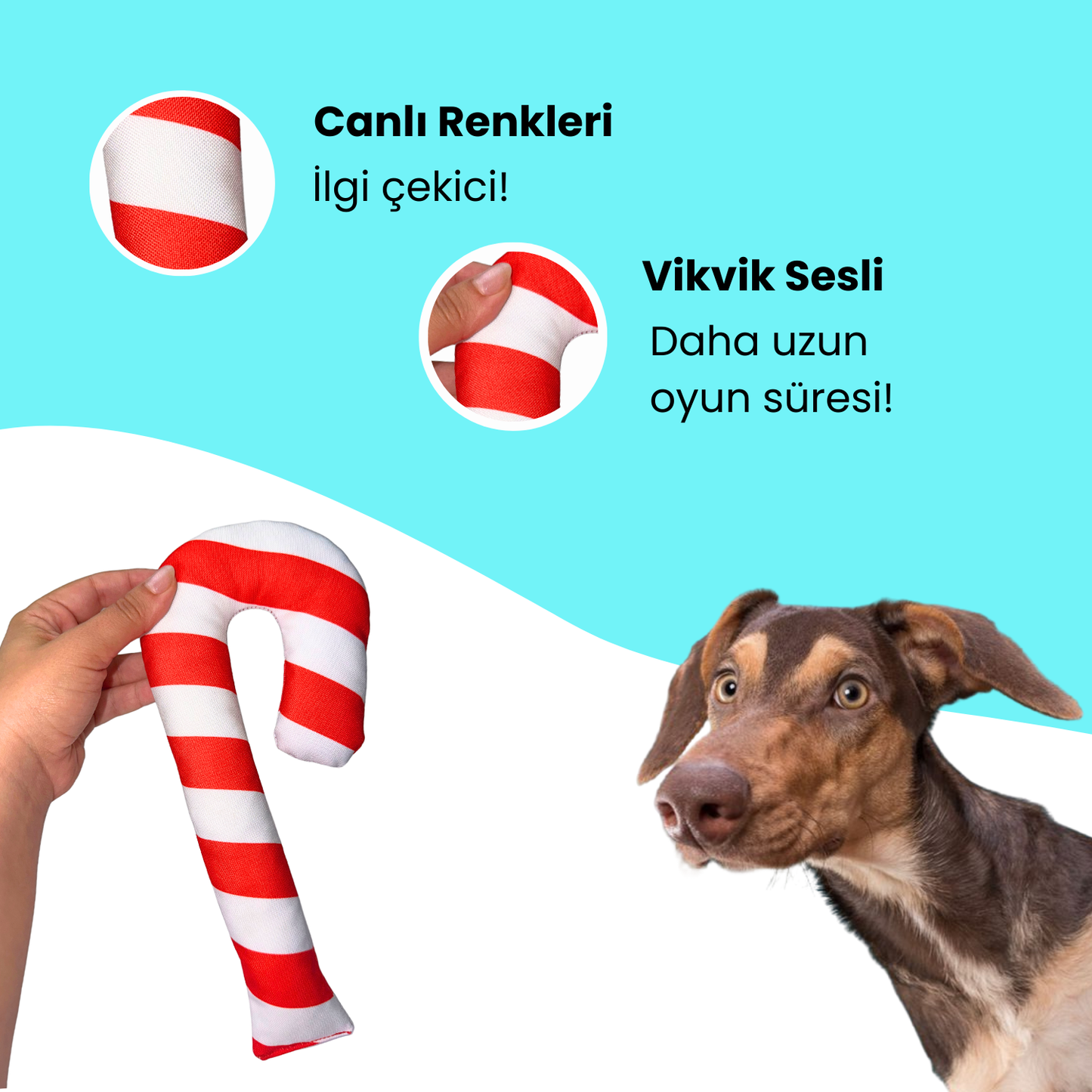 Havrika Yıllar Köpek Oyuncak Seti Köpek Atkısı S M L, Hışırtılı Peluş Kurabiye, Vikvikli Peluş Şeker