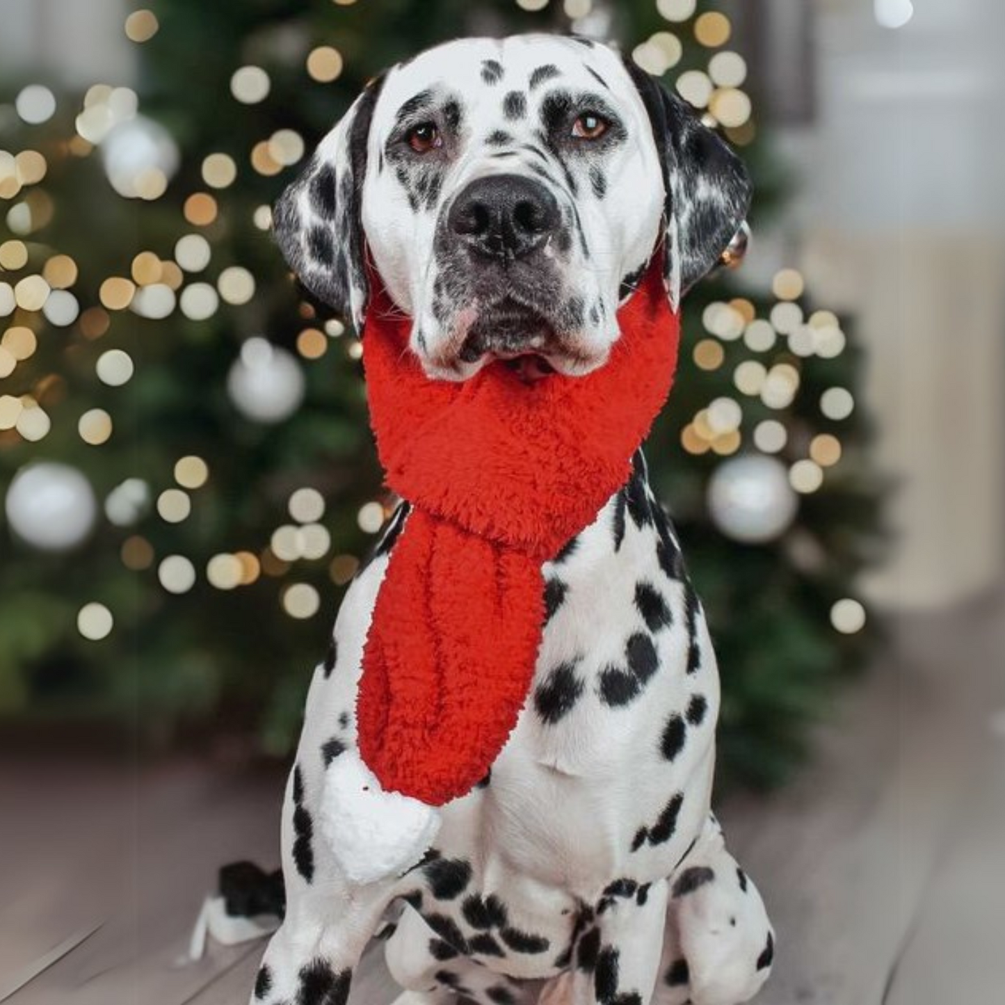 Kırmızı Renkli Köpek Atkısı S M L Beden Seçenekleri ile Yılbaşı Temalı Köpek Aksesuarı