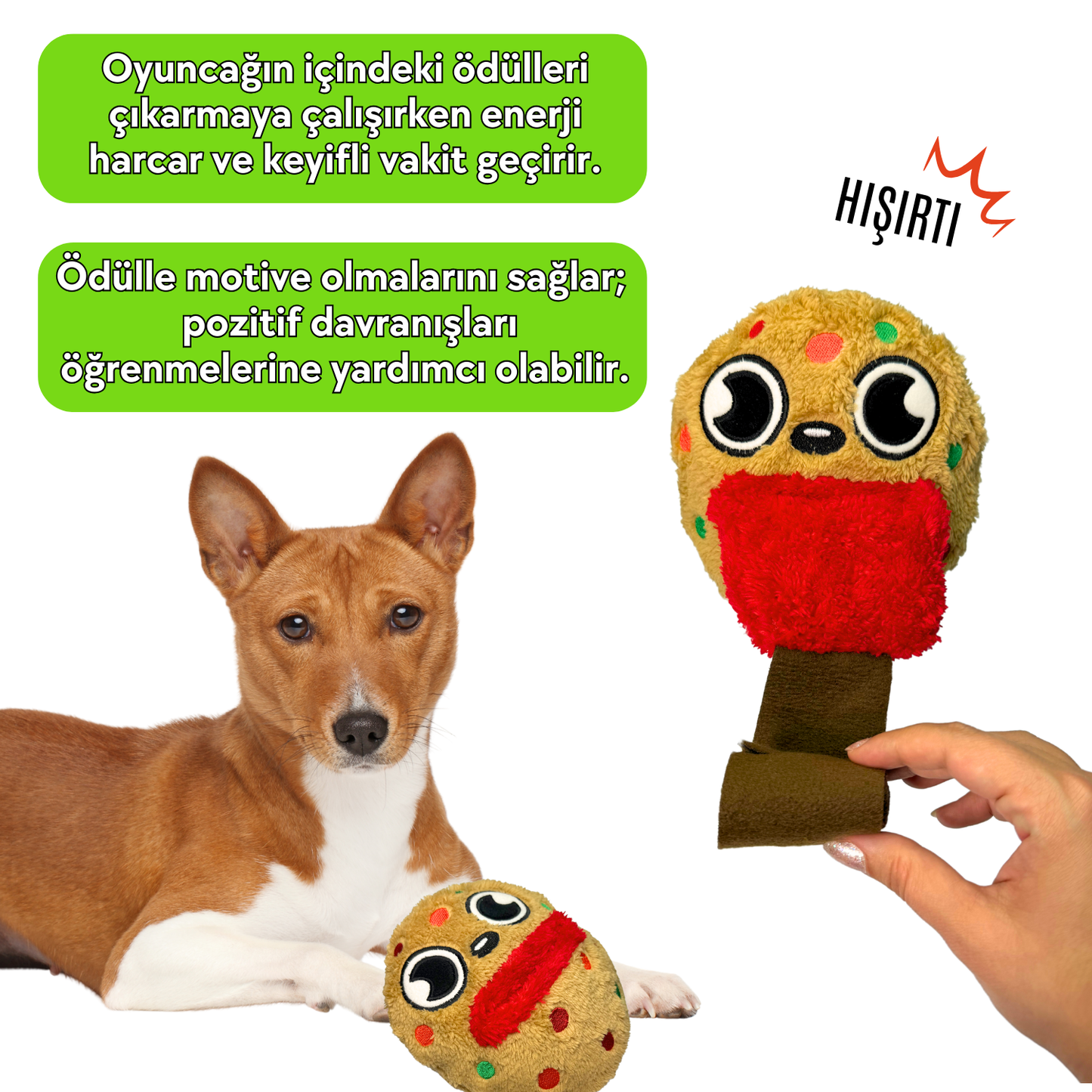 HavHavCafe 2'li Köpek Oyuncak Seti Pumpkin Havs Latte ve Peluş Kurabiye