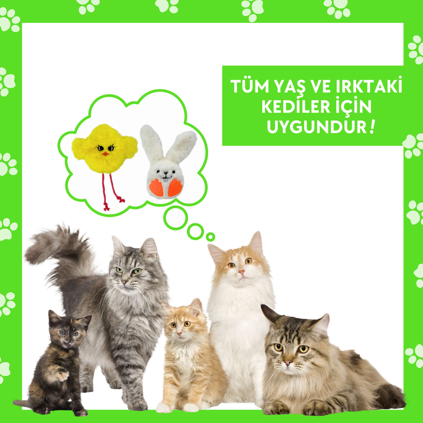 Sevimli Dostlar Kedi Oyuncak Seti Catnipli Peluş Civciv ve Sesli Peluş Tavşan