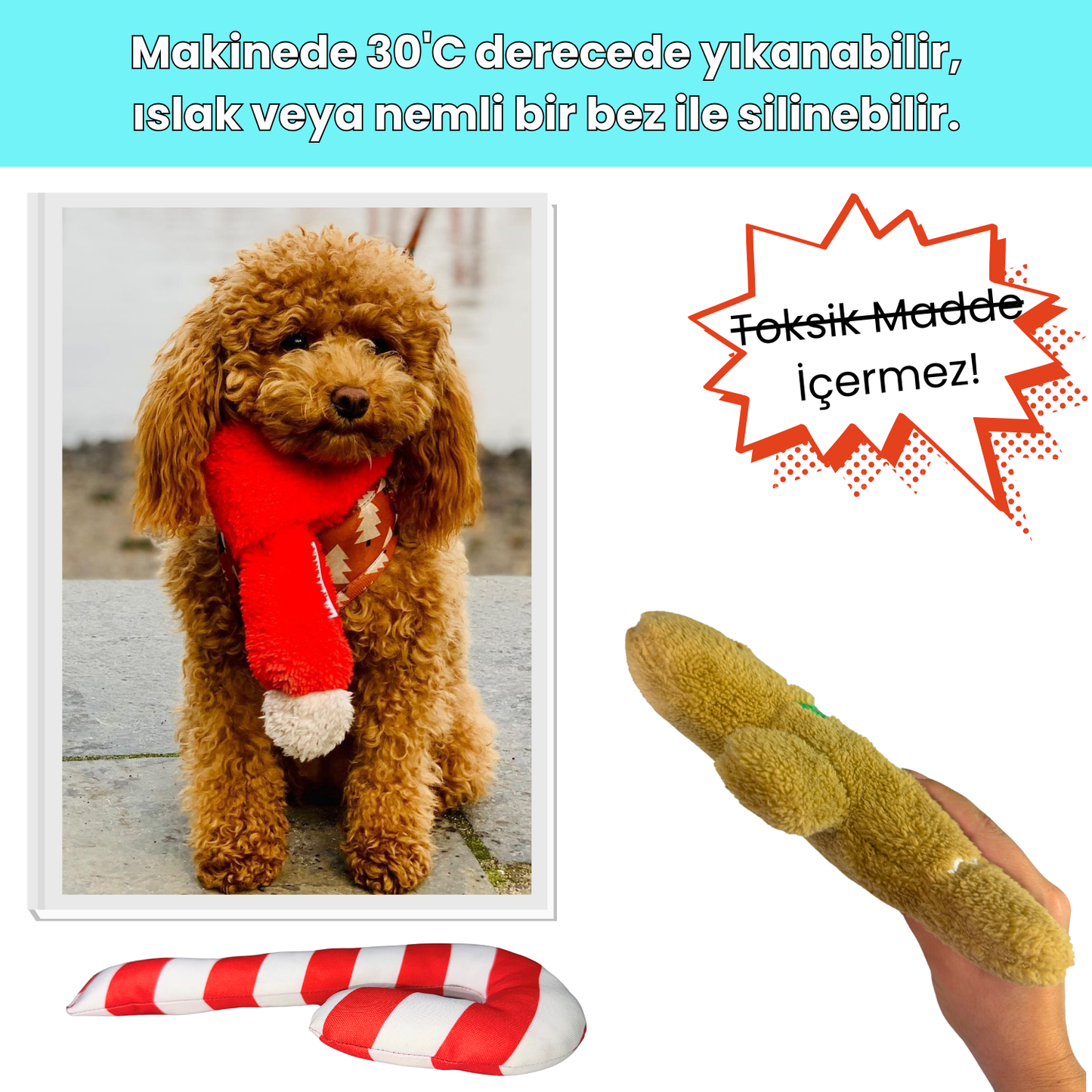 Havrika Yıllar Köpek Oyuncak Seti Köpek Atkısı S M L, Hışırtılı Peluş Kurabiye, Vikvikli Peluş Şeker