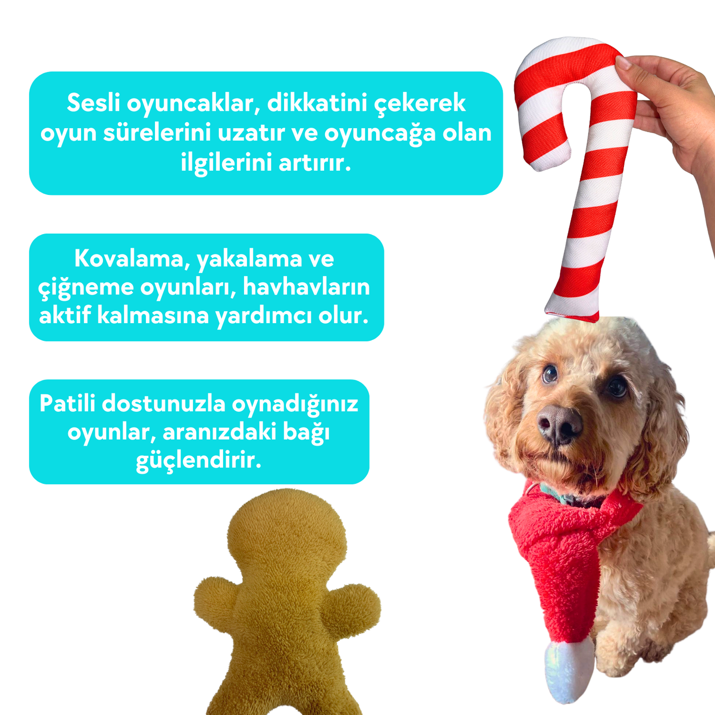 Havrika Yıllar Köpek Oyuncak Seti Köpek Atkısı S M L, Hışırtılı Peluş Kurabiye, Vikvikli Peluş Şeker