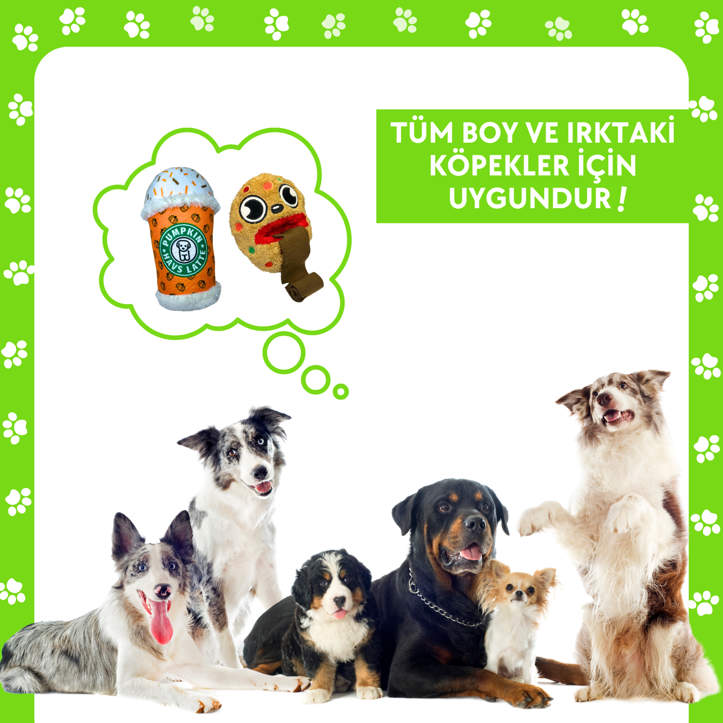 HavHavCafe 2'li Köpek Oyuncak Seti Pumpkin Havs Latte ve Peluş Kurabiye