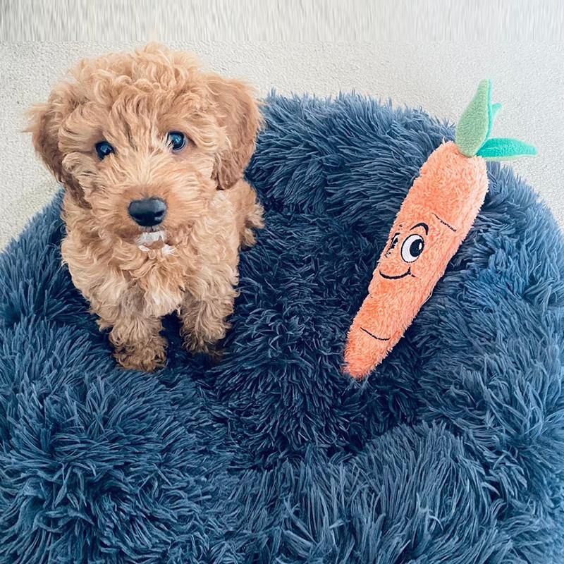 Çılgın Havuç Sesli Peluş Köpek Oyuncağı