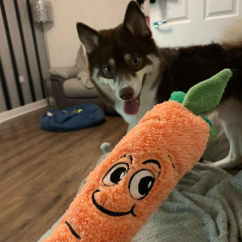 Çılgın Havuç Sesli Peluş Köpek Oyuncağı