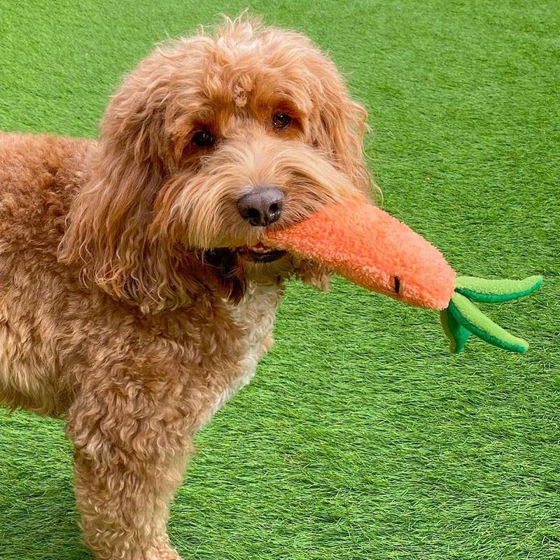 Çılgın Havuç Sesli Peluş Köpek Oyuncağı