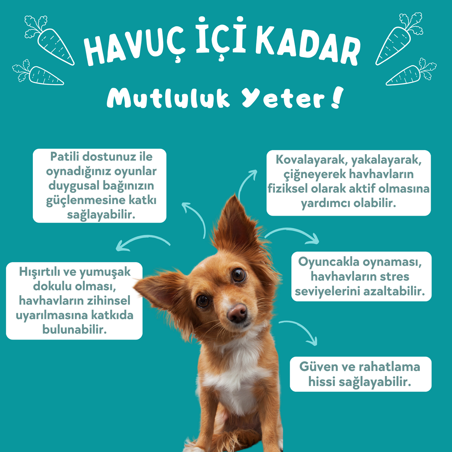 Çılgın Havuç Sesli Peluş Köpek Oyuncağı