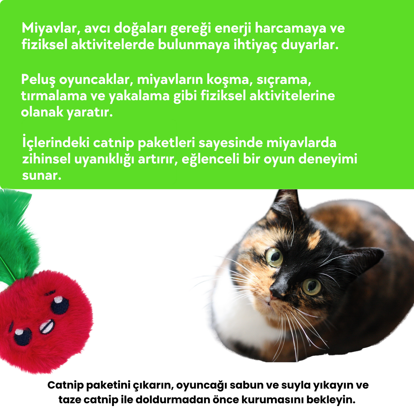 Çılgın Manav Catnip Cepli Peluş Kedi Oyuncak Seti