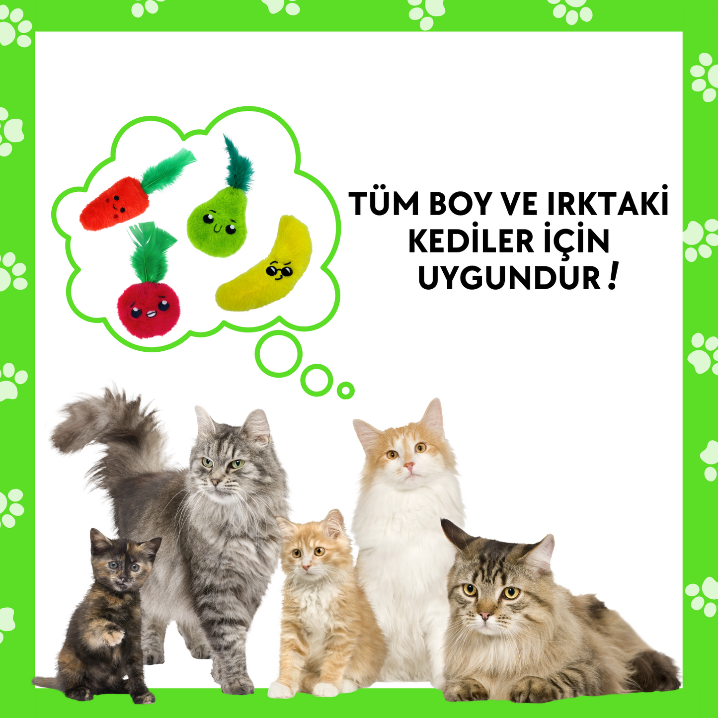 Çılgın Manav Catnip Cepli Peluş Kedi Oyuncak Seti