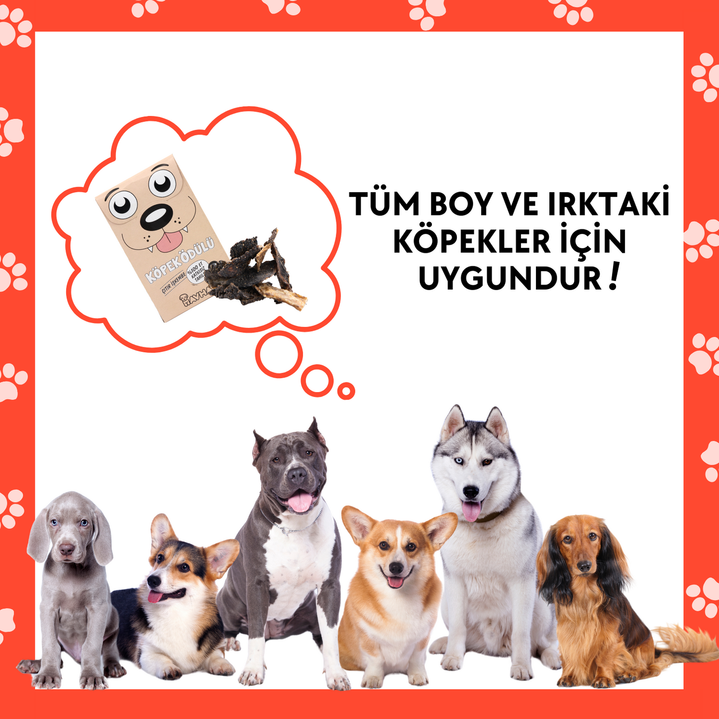 4 Adet Çıtır İşkembe Doğal İçerikli Köpek Ödül Maması