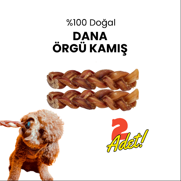 2 Adet Dana Örgü Kamış Çiğneme Çubuğu Köpek Ödülü