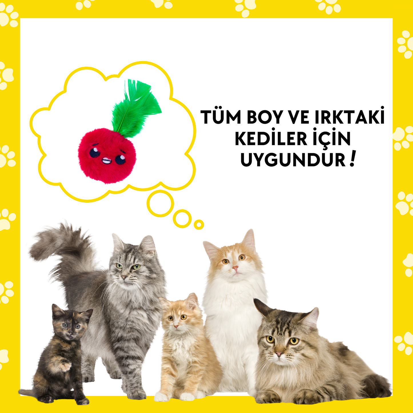 Catnip Cepli Elma Peluş Kedi Oyuncağı ve 2 Adet Catnip Paketi