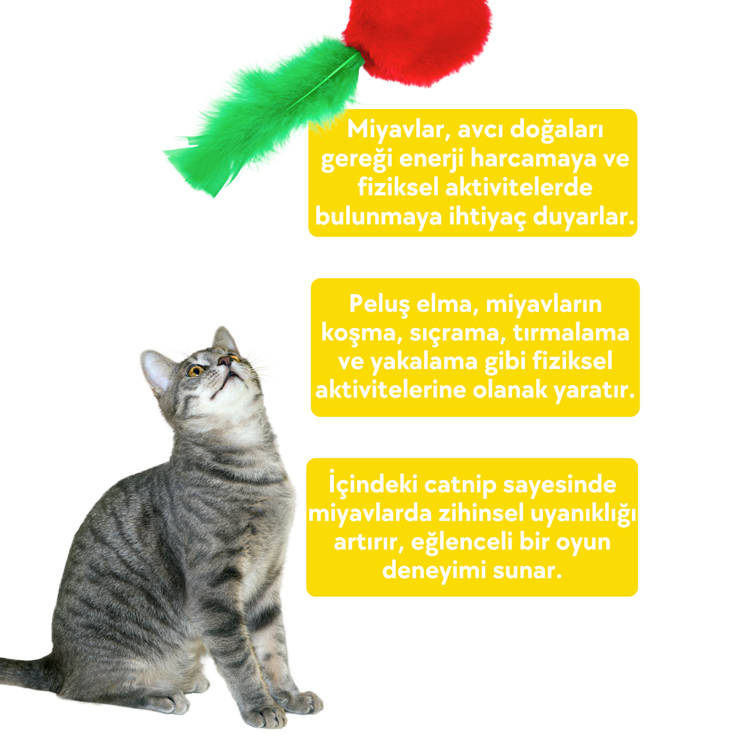 Catnip Cepli Elma Peluş Kedi Oyuncağı ve 2 Adet Catnip Paketi