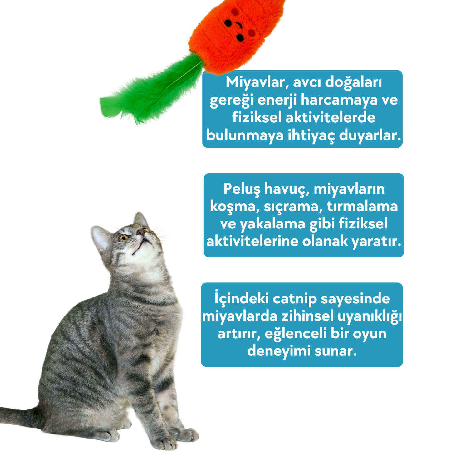 Catnip Cepli Havuç Peluş Kedi Oyuncağı ve 2 Adet Catnip Paketi
