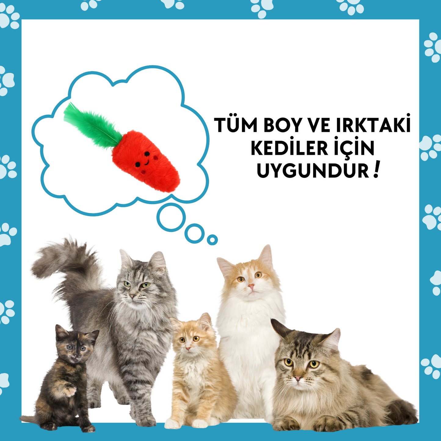 Catnip Cepli Havuç Peluş Kedi Oyuncağı ve 2 Adet Catnip Paketi
