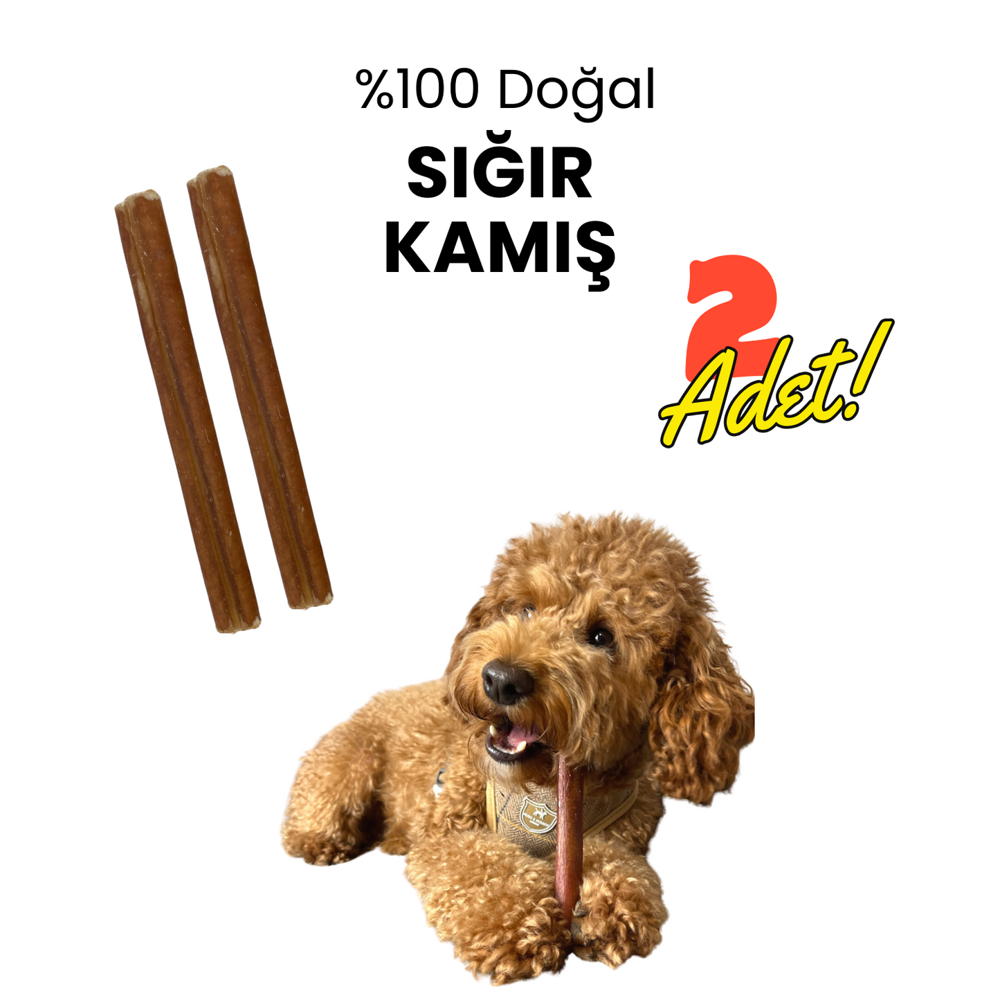 2 Adet Sığır Kamış Çiğneme Çubuğu Köpek Ödülü