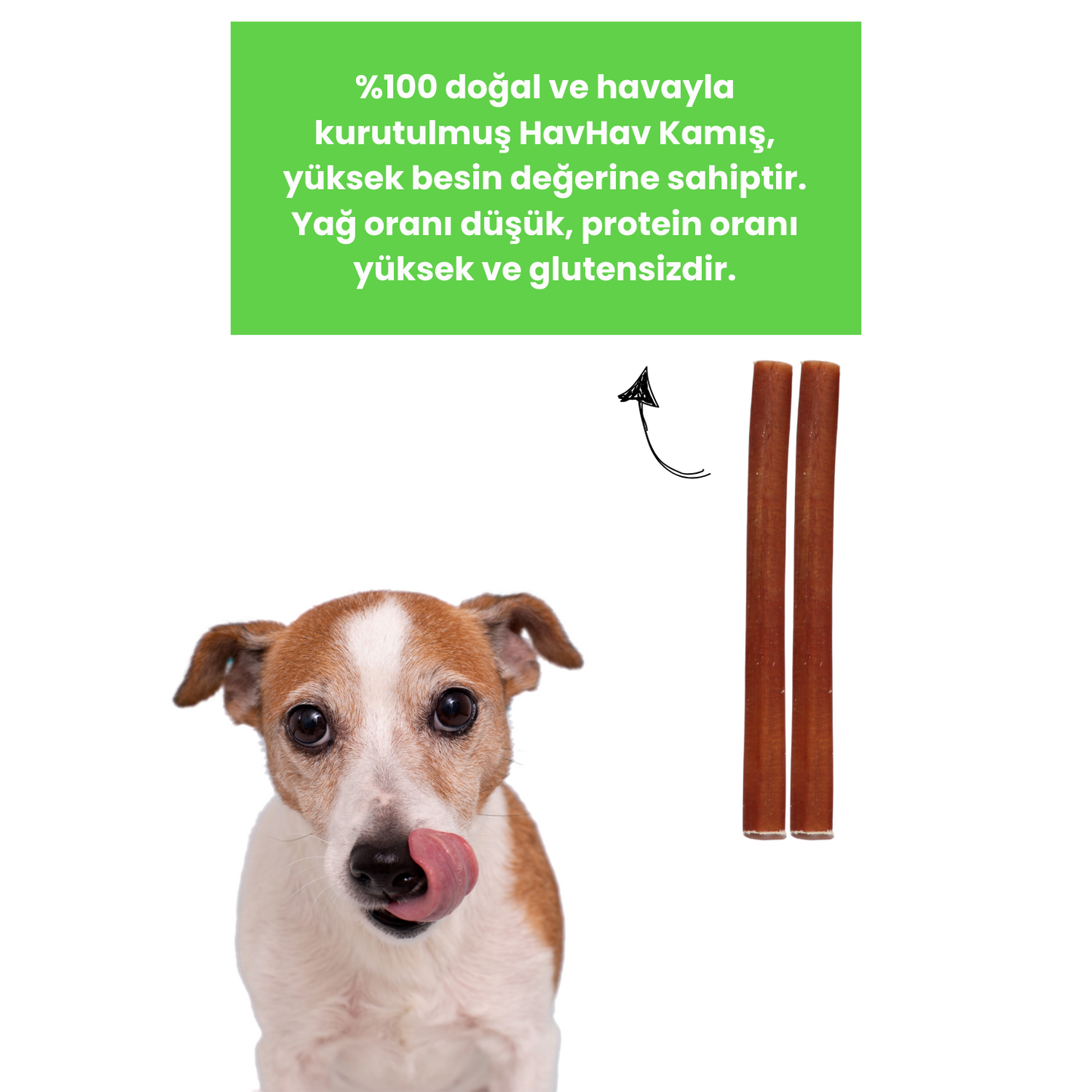 2 Adet Sığır Kamış Çiğneme Çubuğu Köpek Ödülü
