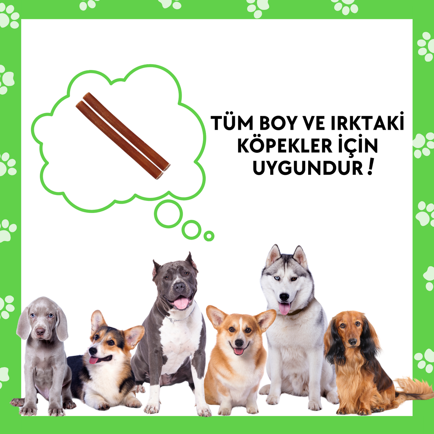 2 Adet Sığır Kamış Çiğneme Çubuğu Köpek Ödülü