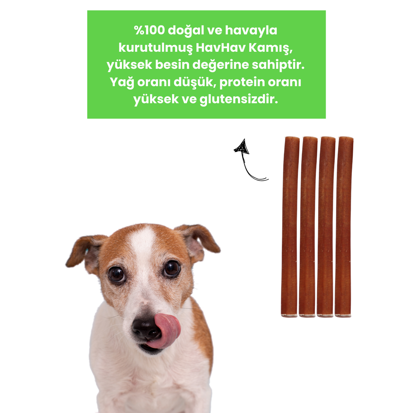 4 Adet Sığır Kamış Çiğneme Çubuğu Köpek Ödülü