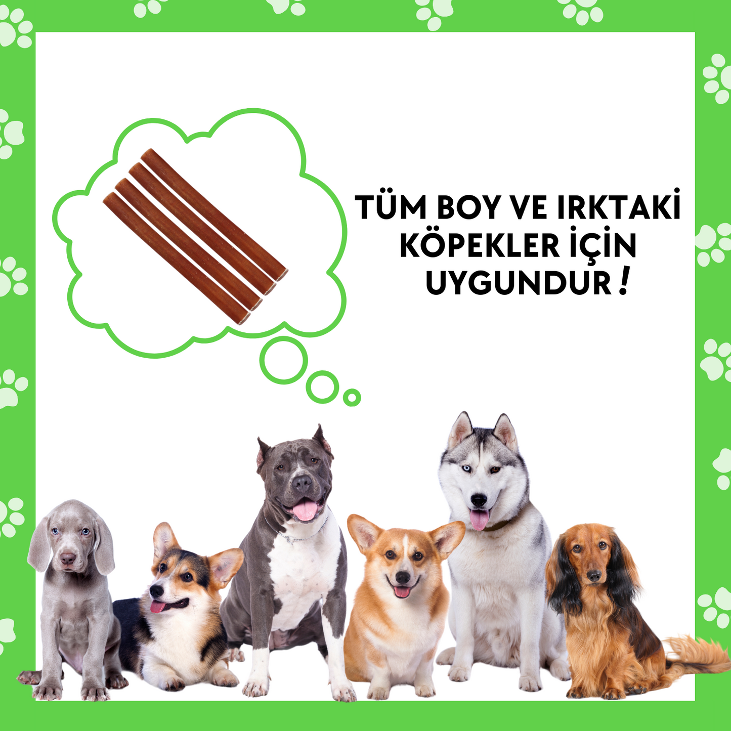 4 Adet Sığır Kamış Çiğneme Çubuğu Köpek Ödülü