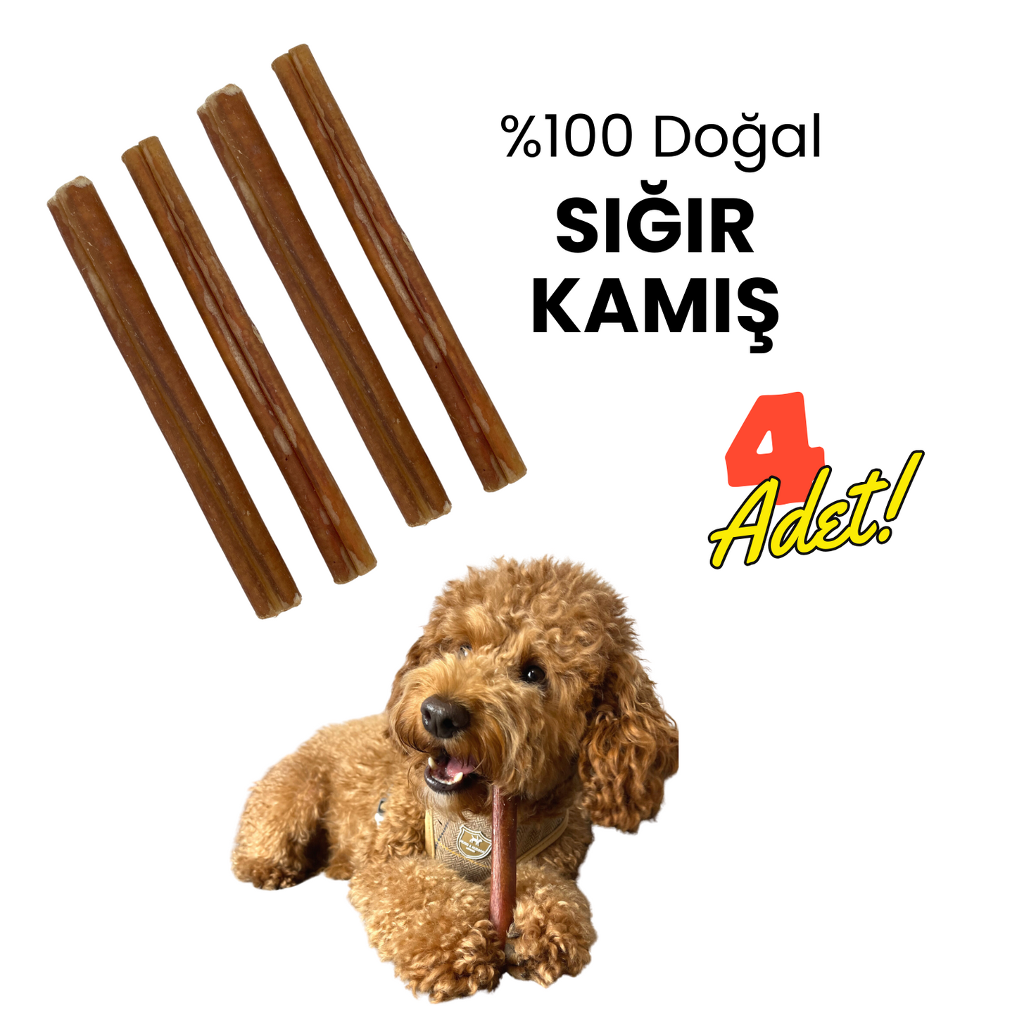 4 Adet Sığır Kamış Çiğneme Çubuğu Köpek Ödülü