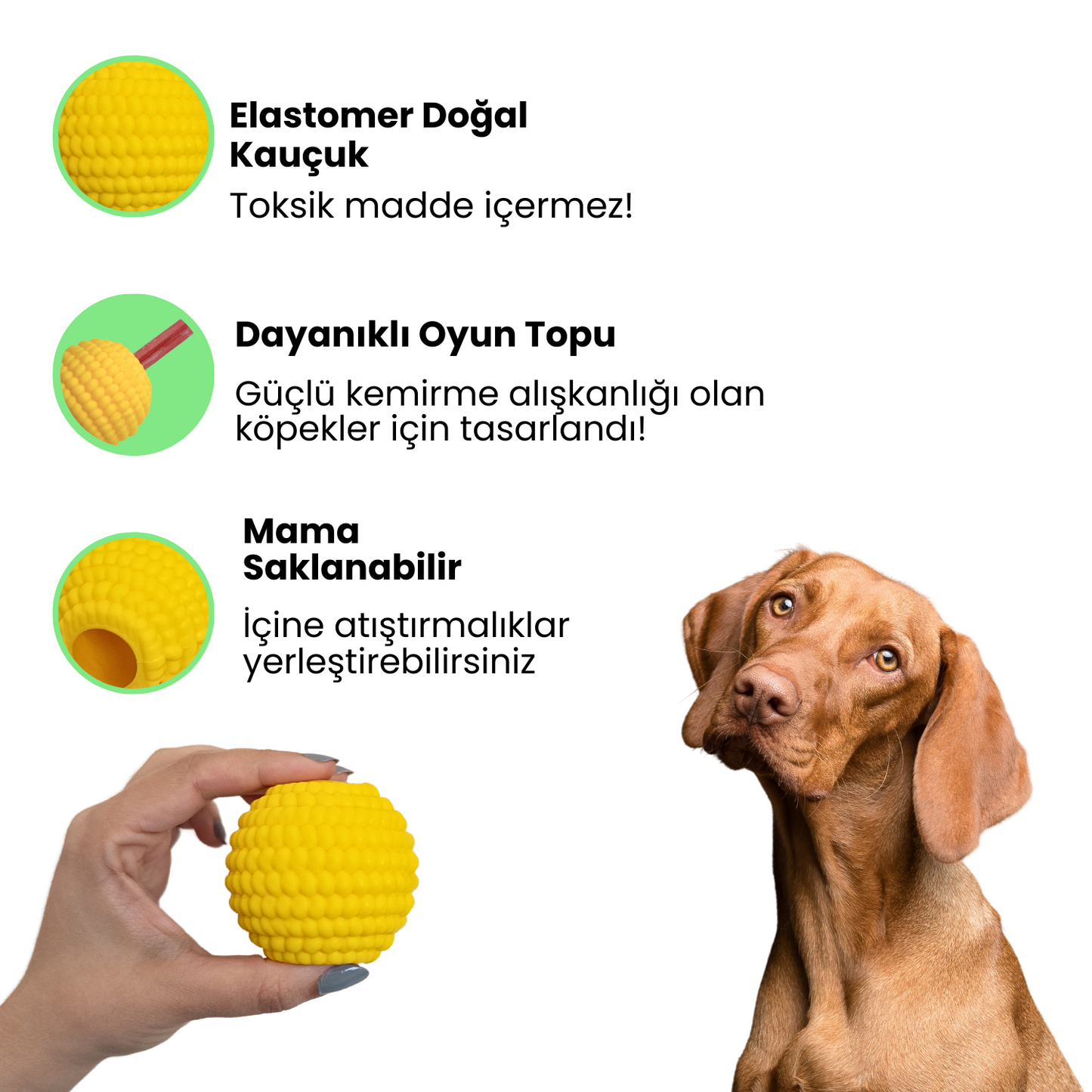 Doğal Kauçuk Mama Saklamalı Dayanıklı Köpek Oyun Topu