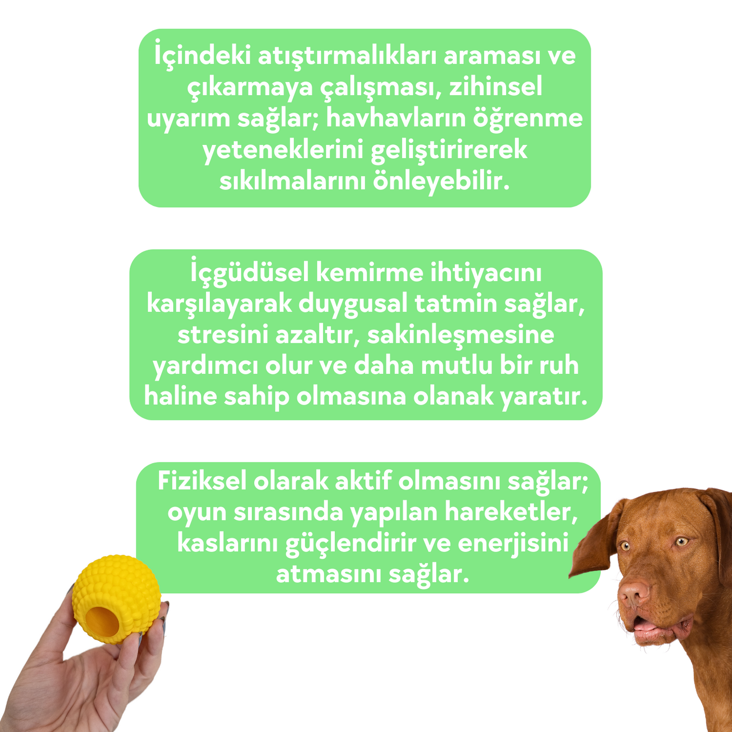 Doğal Kauçuk Mama Saklamalı Dayanıklı Köpek Oyun Topu