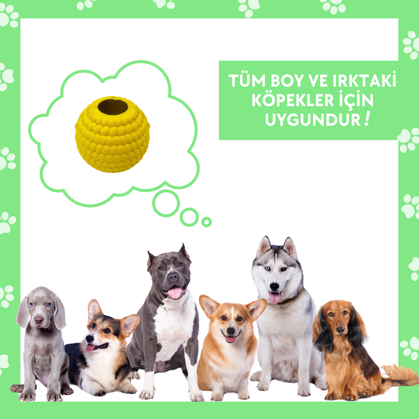 Doğal Kauçuk Mama Saklamalı Dayanıklı Köpek Oyun Topu