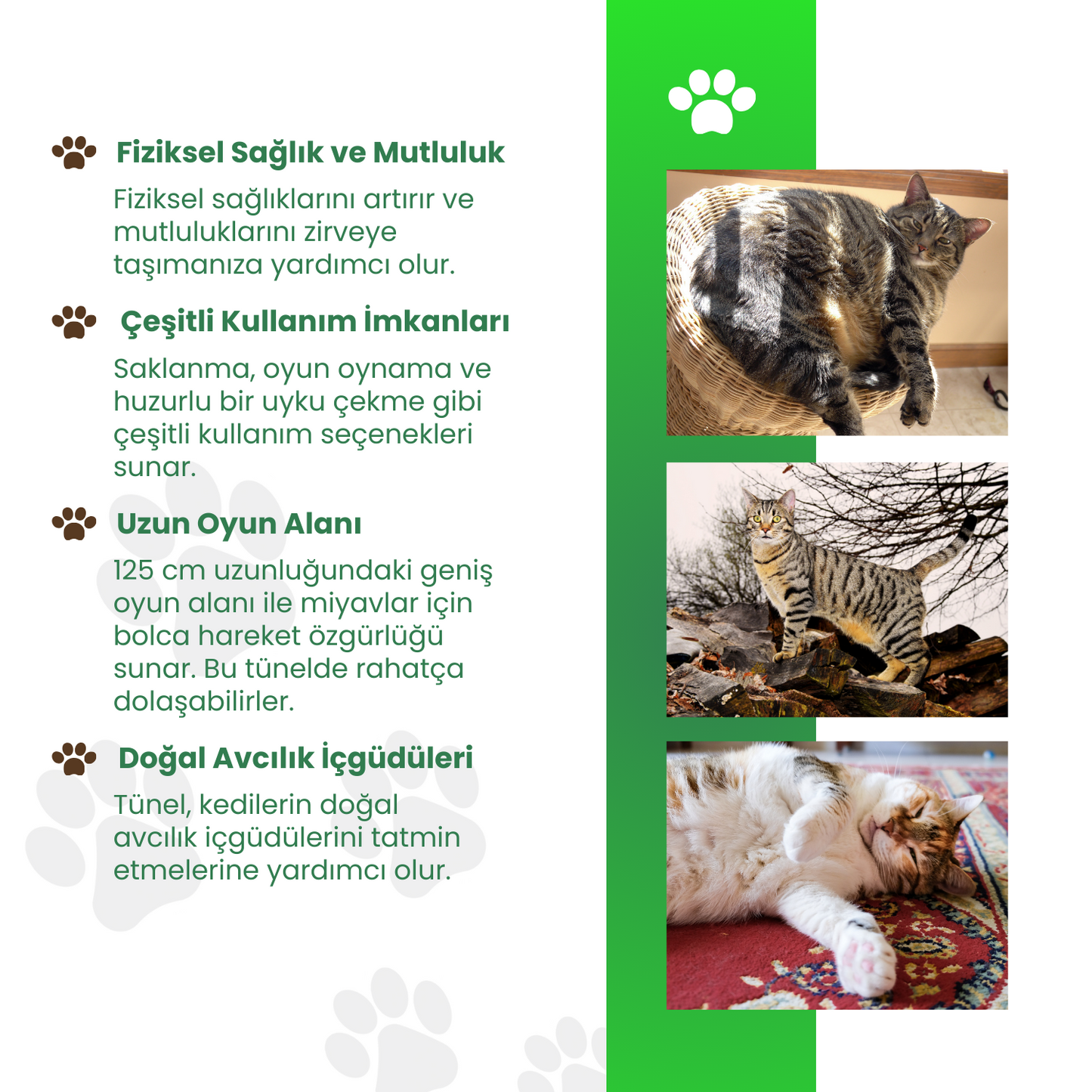 Kırmızı Renkli Uzun Kedi Tüneli 125 cm