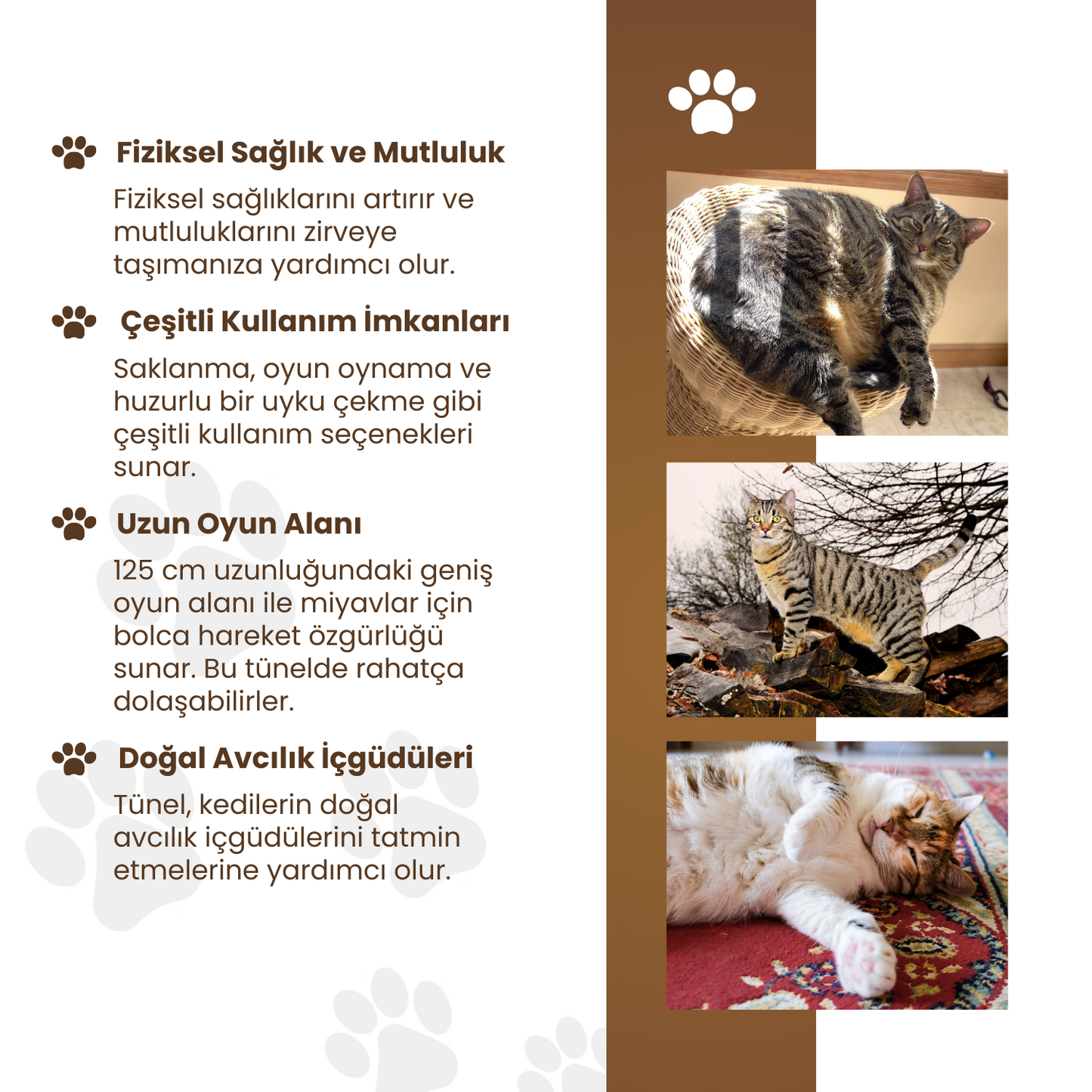 Köpek Desenli Uzun Kedi Tüneli 125 cm