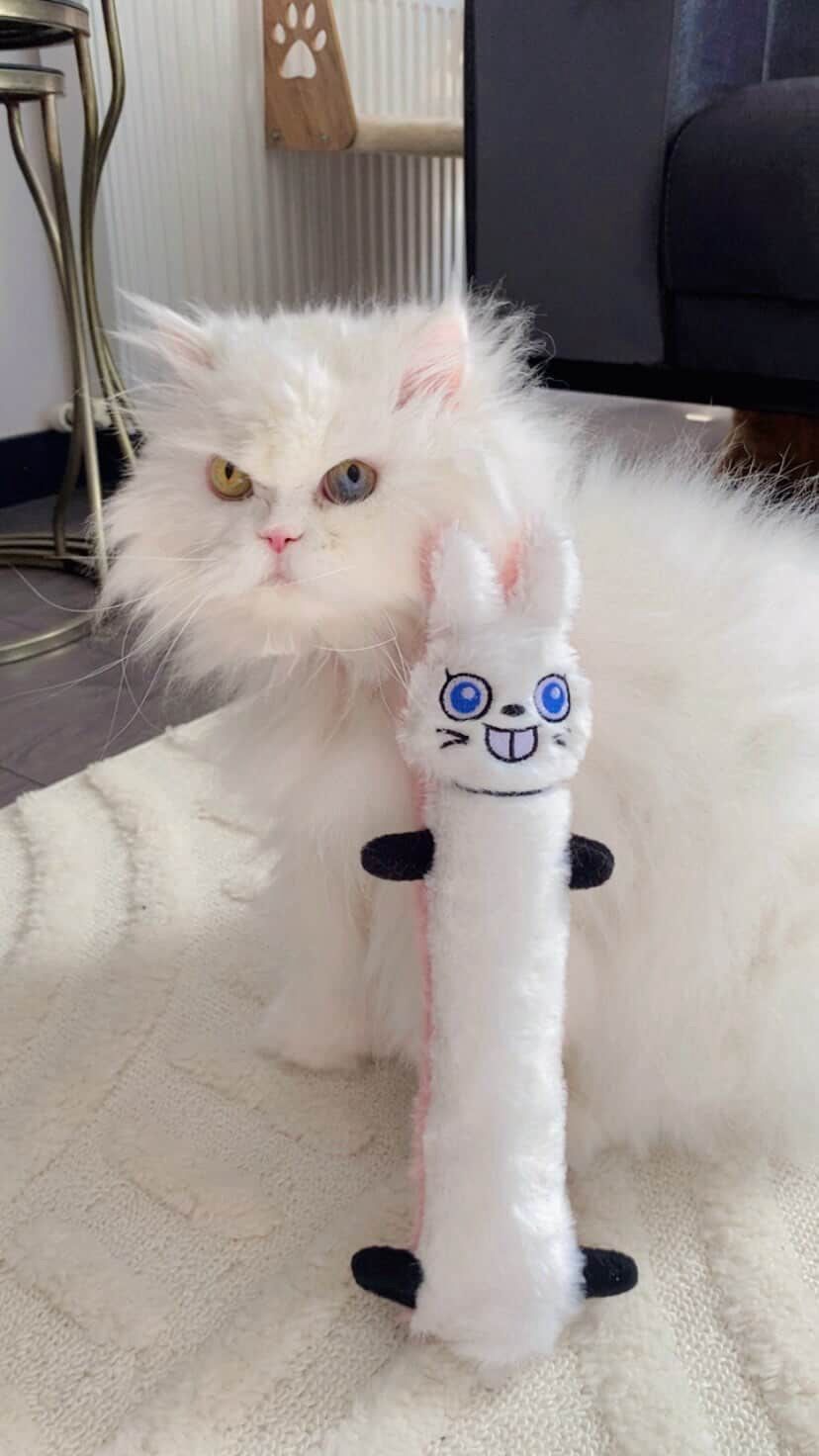 Miyav Easter 2’li Kedi Oyuncak Seti – Ponponlu Hışırtılı Peluş Tavşan ve Catnipli Tüylü Havuç