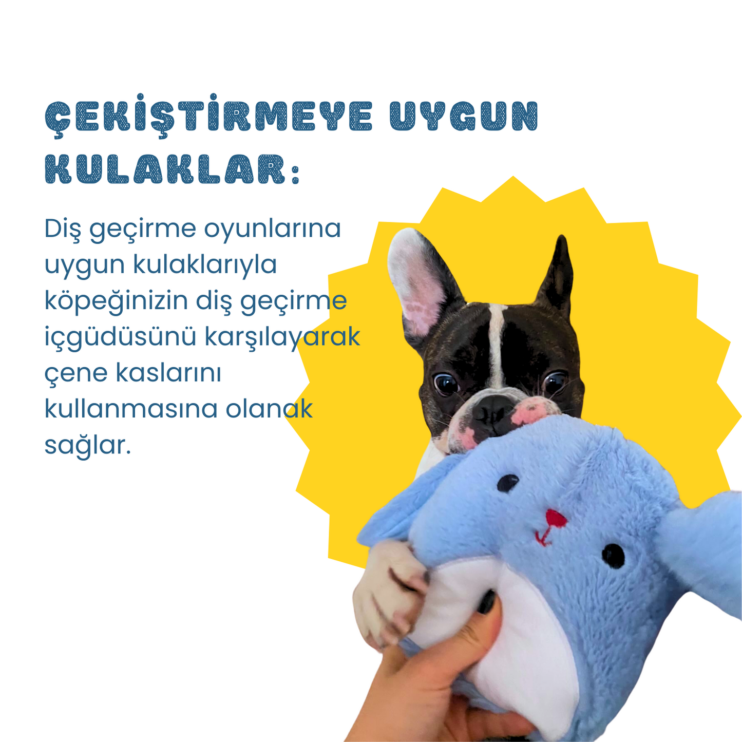 Mavi Tavşan Sesli Peluş Köpek Oyuncağı