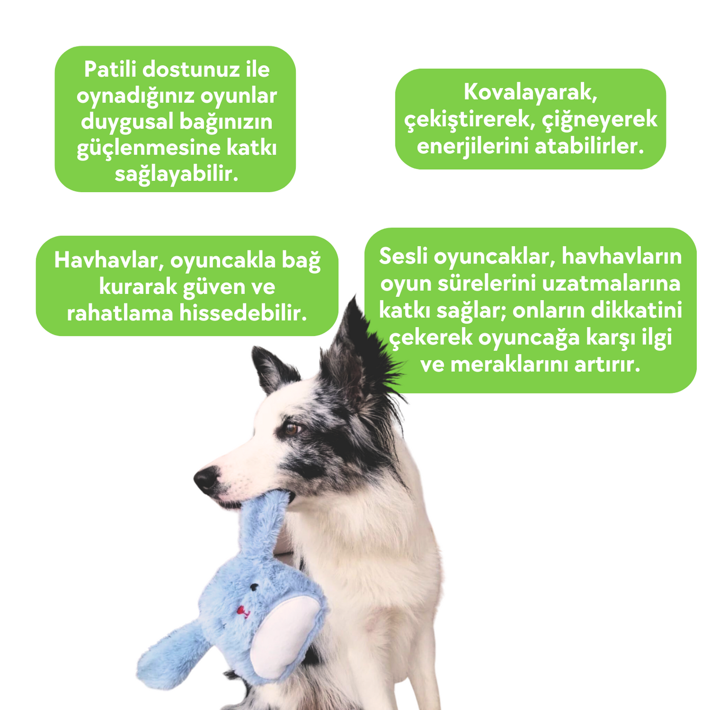 Mavi Tavşan Sesli Peluş Köpek Oyuncağı