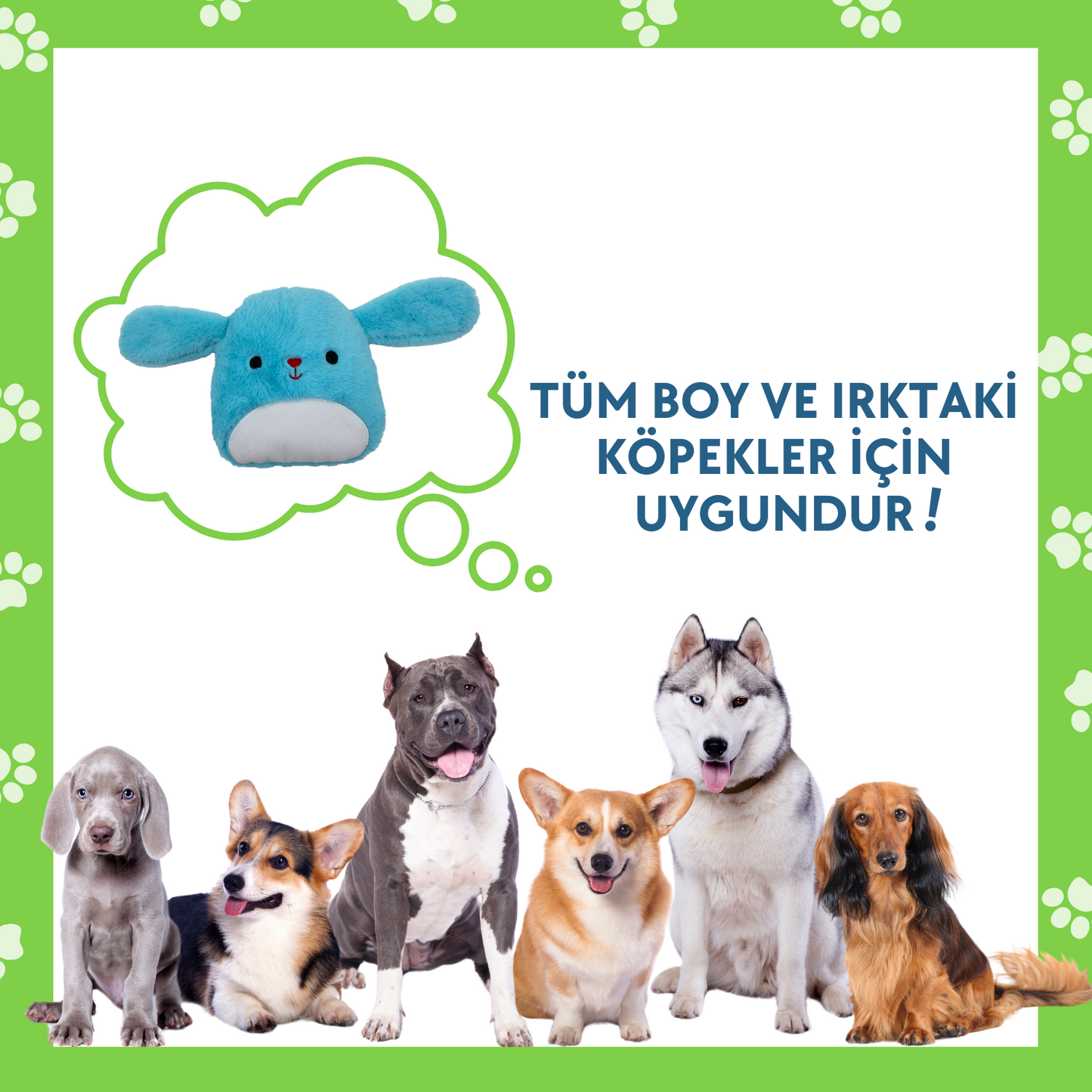 Mavi Tavşan Sesli Peluş Köpek Oyuncağı